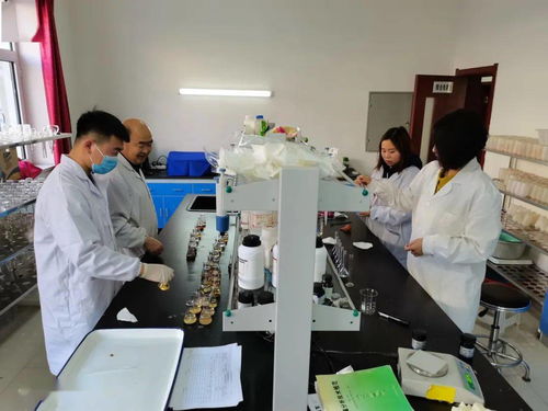 包头市农业技术推广中心全力推进化肥减量增效项目土样检测工作