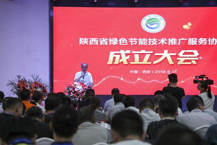 陕西省绿色节能技术推广服务协会计算机系统服务分会隆重成立