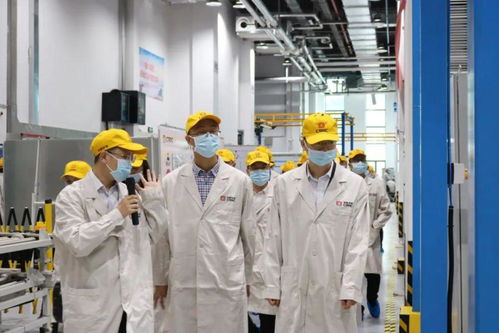 打响“三个高地”品牌，以计算机系统服务赋能最美茶陵县域发展